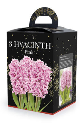 Гиацинты комнатные Pink в подарочной коробке (3 шт. в упак.) (R. De Ree)