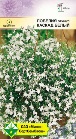 Лобелия эринус Каскад белый 0.05г