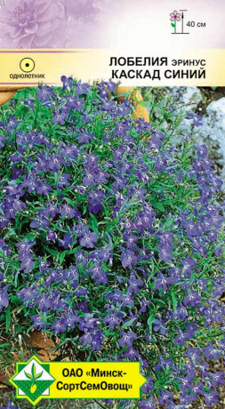 Лобелия эринус Каскад синий 0.05г