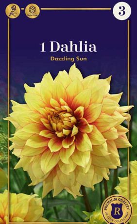 Георгина Dazzling Sun (R. De Ree)