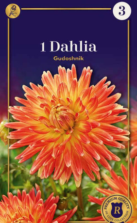 Георгина Gudoshnik (R. De Ree)