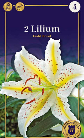 Лилия Gold Band (R. De Ree)