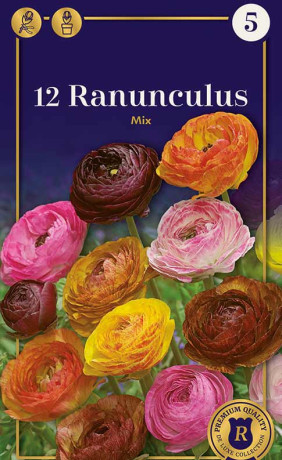 Ранункулус Picotee mix (R. De Ree)