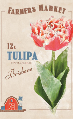 Тюльпаны crispa Brisbane (серия Farmers Market) (12 шт. в упак.) (R. De Ree)