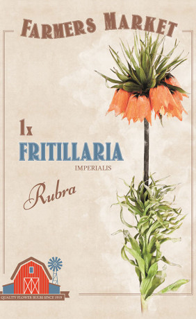 Фритиллярия Imperalis Rubra (серия Farmers Market) (1 шт. в упак.) (R. De Ree)