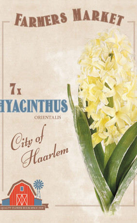 Гиацинты orientalis City of Haarlem (серия Farmers Market) (7 шт. в упак.) (R. De Ree)