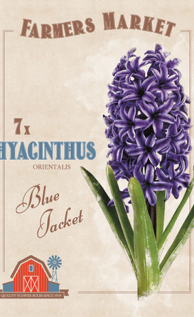 Гиацинты orientalis Blue Jacket (серия Farmers Market) (7 шт. в упак.) (R. De Ree)
