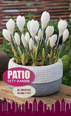 Крокусы Jeanne d'Arc (серия Patio City Garden) (15 шт. в упак.) (R. De Ree)