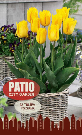 Тюльпаны Yokohama (серия Patio City Garden) (12 шт. в упак.) (R. De Ree)