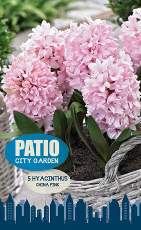 Гиацинты China Pink (серия Patio City Garden) (5 шт. в упак.) (R. De Ree)