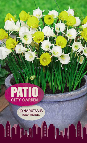 Набор луковиц Ring the Bell (серия Patio City Garden) (10 шт. в упак.) (R. De Ree)