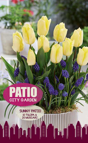 Набор луковиц Sunny Patio (серия Patio City Garden) (30 шт. в упак.) (R. De Ree)