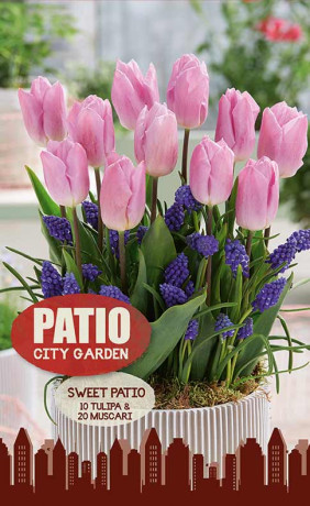 Набор луковиц Sweet Patio (серия Patio City Garden) (30 шт. в упак.) (R. De Ree)
