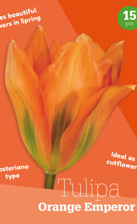 Тюльпаны Orange Emperor (серия Colour Collection) (15 шт. в упак.) (R. De Ree)