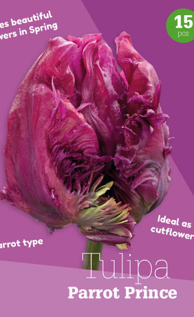 Тюльпаны Parrot Prince (серия Colour Collection) (15 шт. в упак.) (R. De Ree)