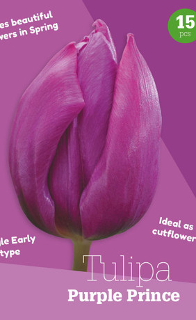 Тюльпаны Purple Prince (серия Colour Collection) (15 шт. в упак.) (R. De Ree)