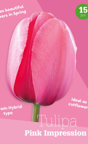 Тюльпаны Pink Impression (серия Colour Collection) (15 шт. в упак.) (R. De Ree)