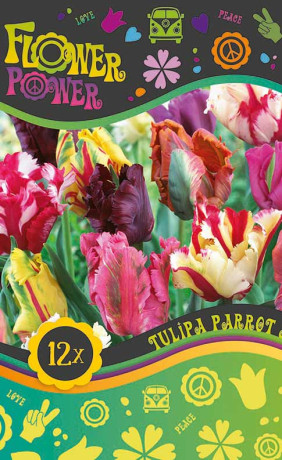 Тюльпаны Parrot mix (серия Flower Power) (12 шт. в упак.) (R. De Ree)
