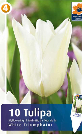 Тюльпаны White Triumphator (R. De Ree)
