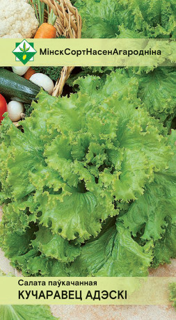 Салат Кучерявец Одесский полукочанный 0.5г