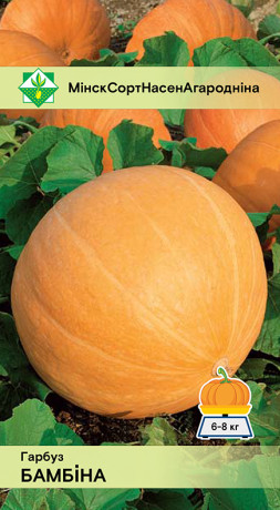 Тыква Бамбино 5шт