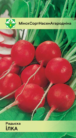 Редис Илка 2г