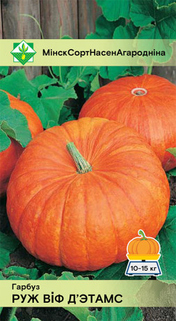 Тыква Руж виф д'Этамс 5шт