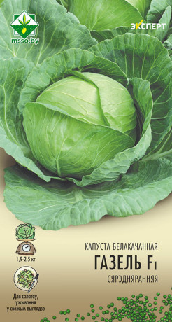 Капуста б/к Газель F1 12шт (Эксперт)