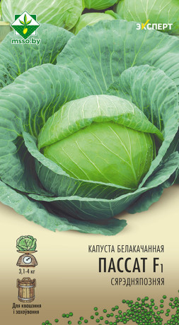 Капуста б/к Пассат F1 12шт (Эксперт)