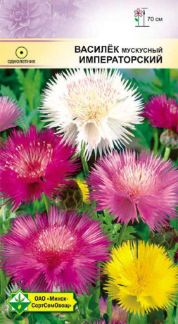 Василек мускусный Императорский см 0.5г