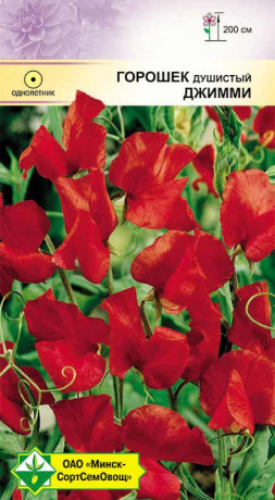 Горошек душистый Джимми 1г