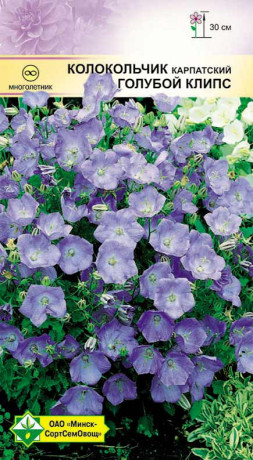 Колокольчик карпатский Голубой клипс 0.15г