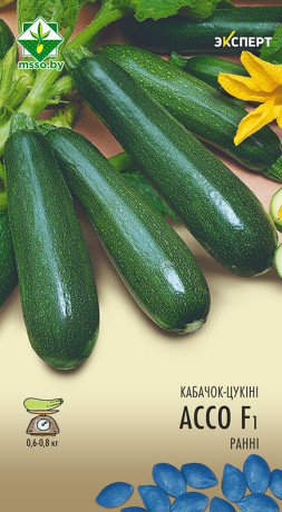 Кабачок Ассо F1 6шт (Эксперт)