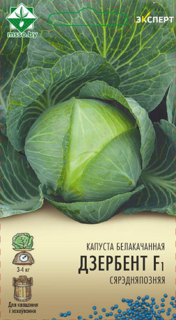 Капуста б/к Дербент F1 12шт (Эксперт)