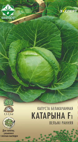 Капуста б/к Катарина F1 12шт (Эксперт)