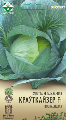Капуста б/к Крауткайзер F1 12шт (Эксперт)