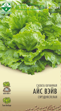 Салат Айс Вейв кочанный 20шт (Эксперт)