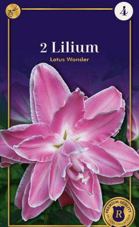 Лилия Lotus Wonder (R. De Ree)