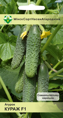 Огурец Кураж F1 7шт