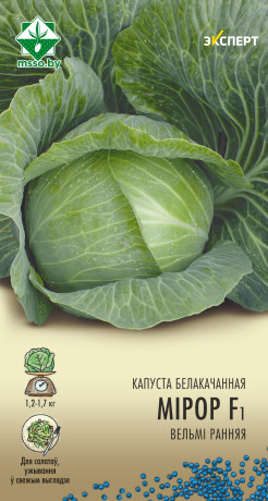 Капуста б/к Миррор F1 12шт (Эксперт)