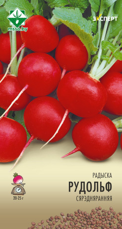 Редис Рудольф 1г (Эксперт)