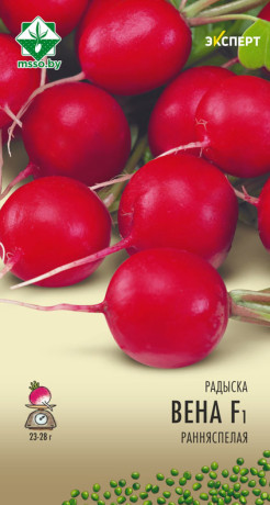 Редис Вена F1 1г (Эксперт)