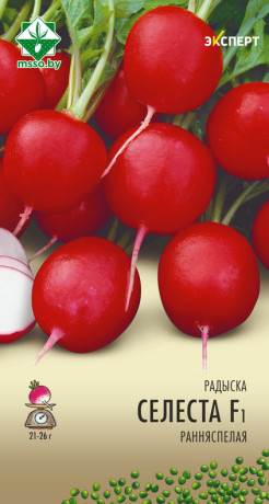 Редис Селеста F1 1г (Эксперт)