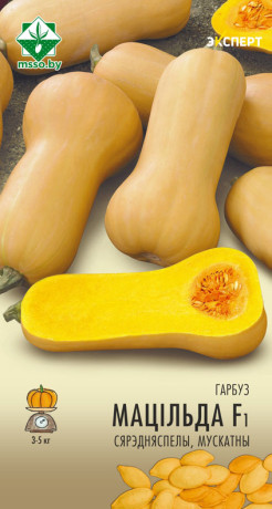 Тыква Матильда F1 мускатная 5шт (Эксперт)