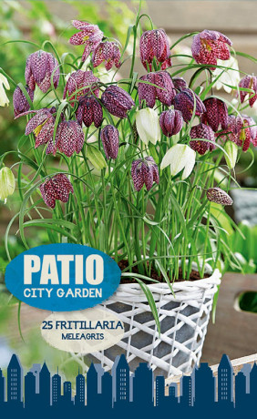Фритиллярия Meleagris (серия Patio City Garden) (20 шт. в упак.) (R. De Ree)
