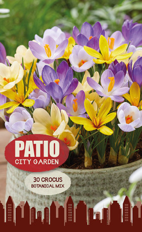 Крокусы Botanical Mix (серия Patio City Garden) (30 шт. в упак.) (R. De Ree)