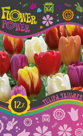 Тюльпаны Triumph mix (серия Flower Power) (12 шт. в упак.) (R. De Ree)