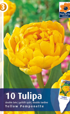 Тюльпаны Yellow Pomponette (R. De Ree)