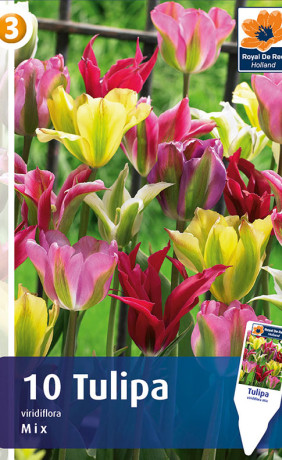 Тюльпаны Viridiflora Mix (R. De Ree)