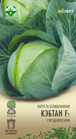 Капуста б/к Кэбтон F1 12шт (Эксперт)